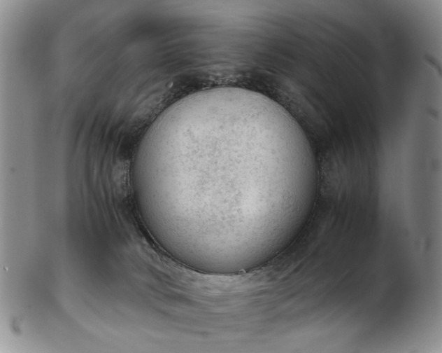 X0000103160034200809051709