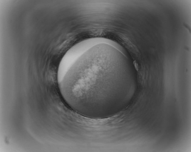 X0000103160035200809051709