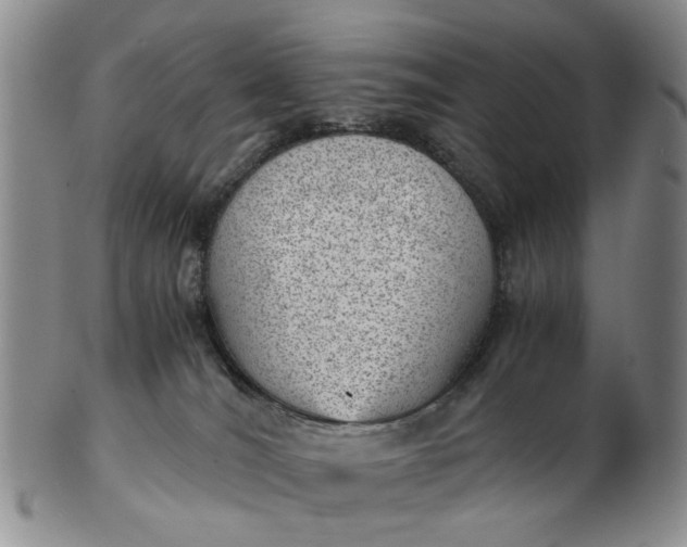 X0000103160036200809051709