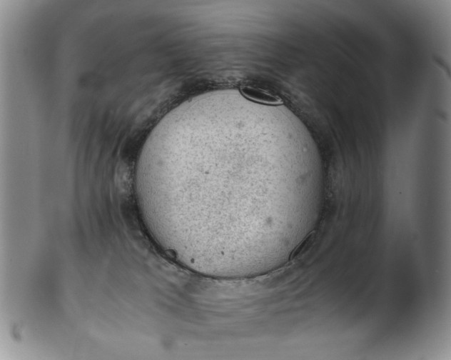 X0000103160037200809051709