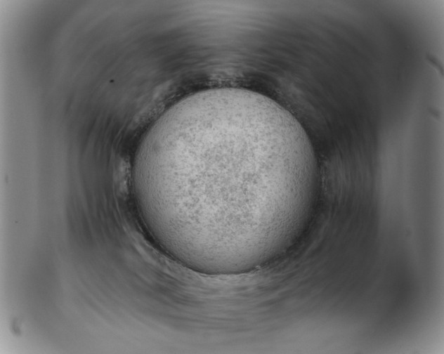 X0000103160038200809051709