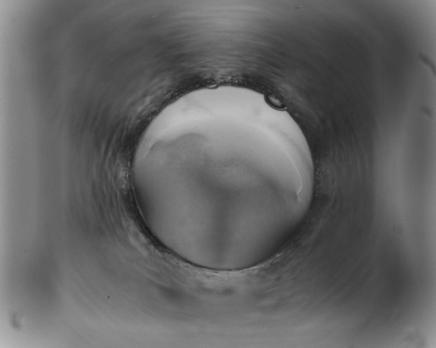 X0000103160039200809051709