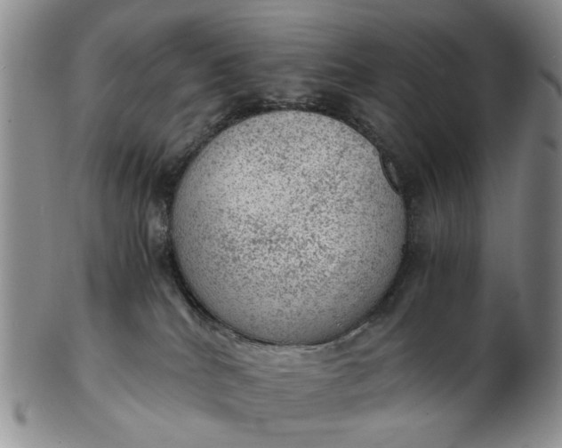 X0000103160040200809051709