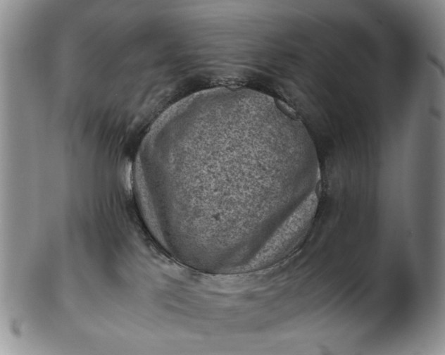 X0000103160041200809051709