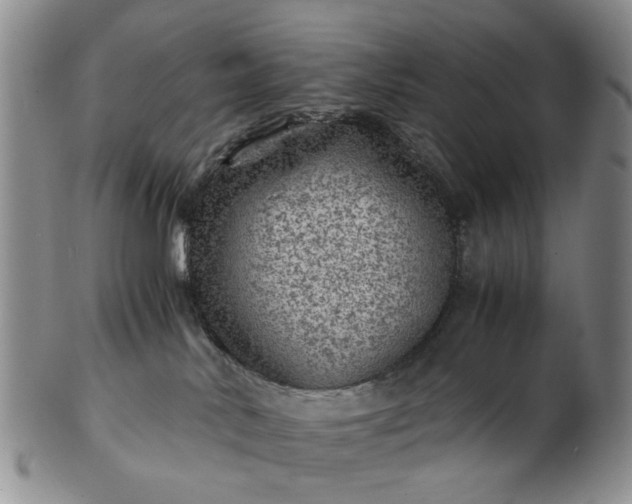 X0000103160042200809051709