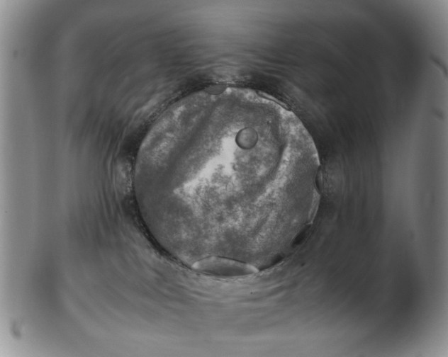 X0000103160043200809051709