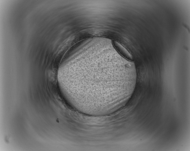 X0000103160044200809051709