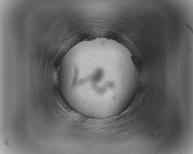 X0000103160045200809051709