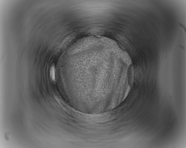 X0000103160046200809051709