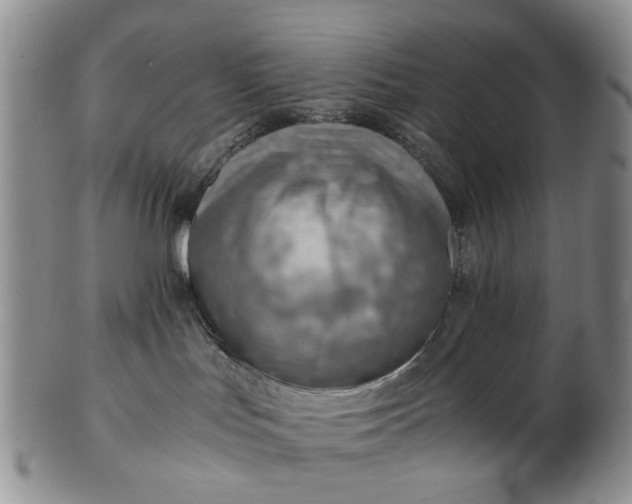 X0000103160047200809051709