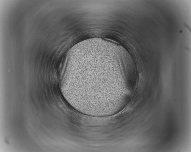 X0000103160048200809051709