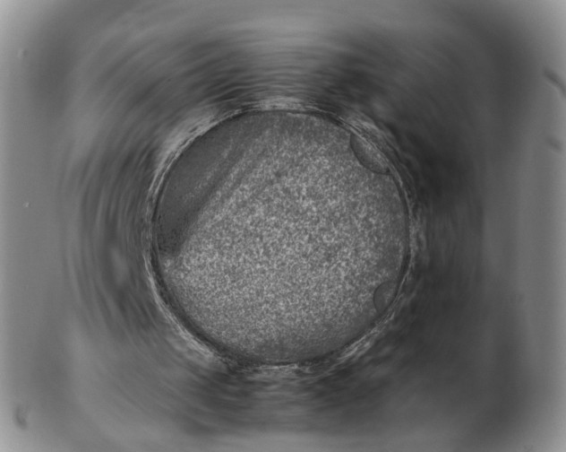 X0000103160049200809051709