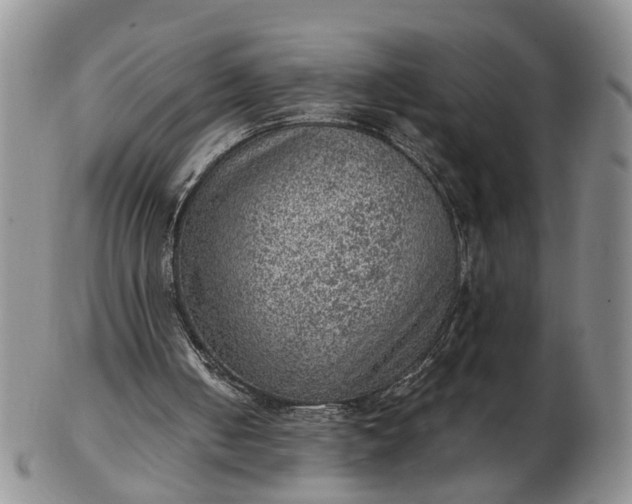 X0000103160050200809051709