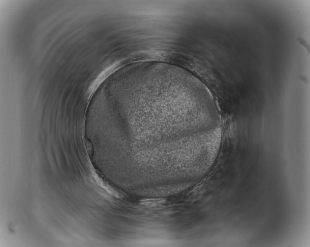 X0000103160051200809051709