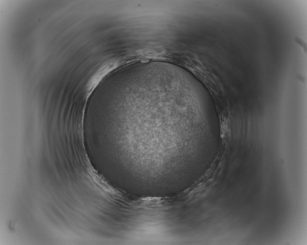 X0000103160052200809051709