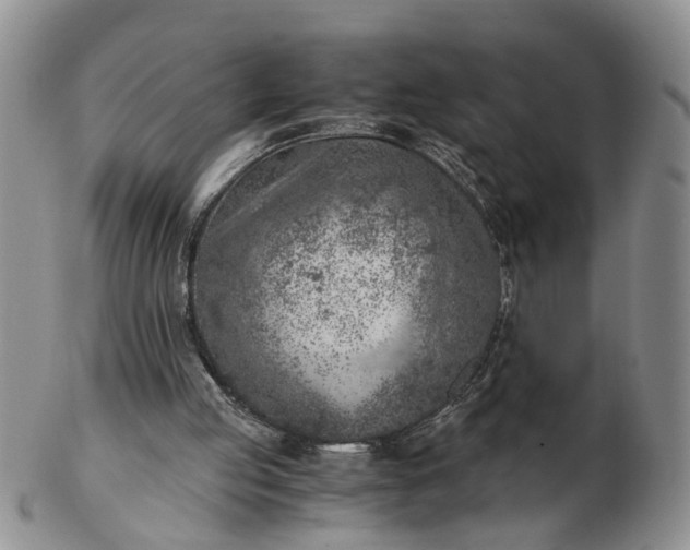 X0000103160053200809051709