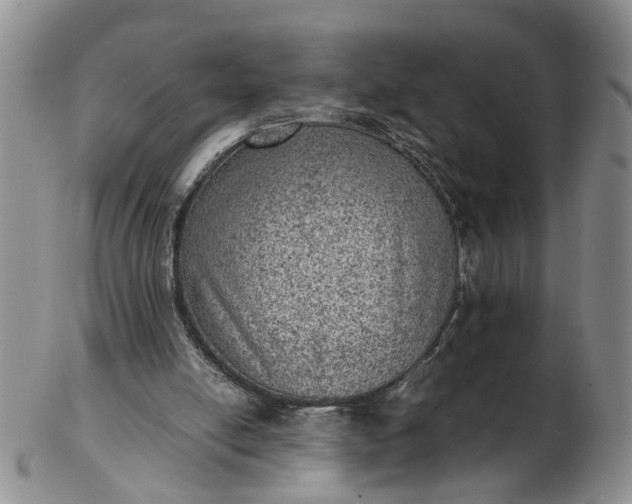 X0000103160054200809051709