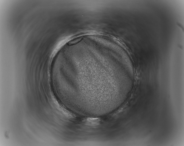 X0000103160055200809051709