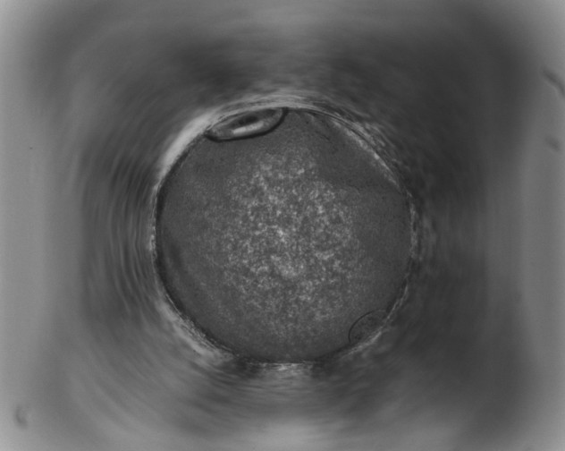 X0000103160056200809051709