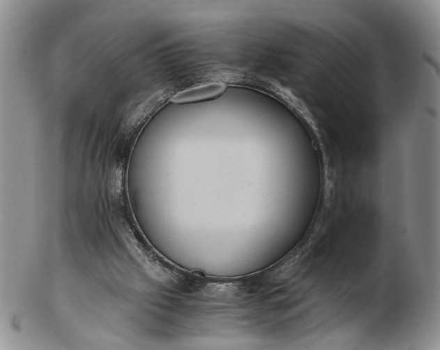 X0000103160057200809051709