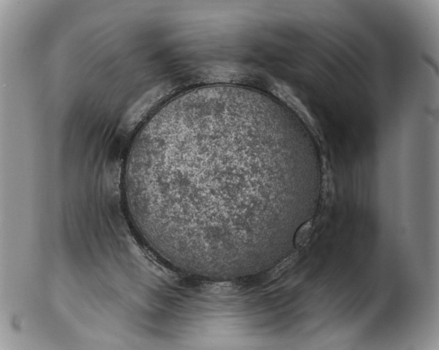 X0000103160058200809051709