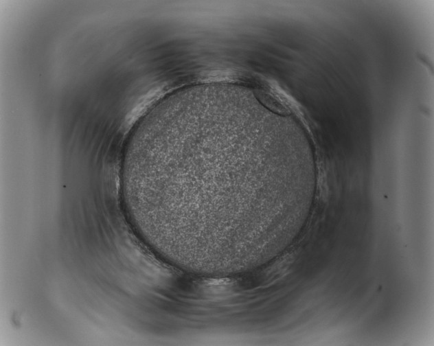 X0000103160059200809051709