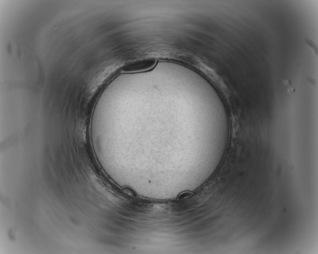 X0000103160060200809051709