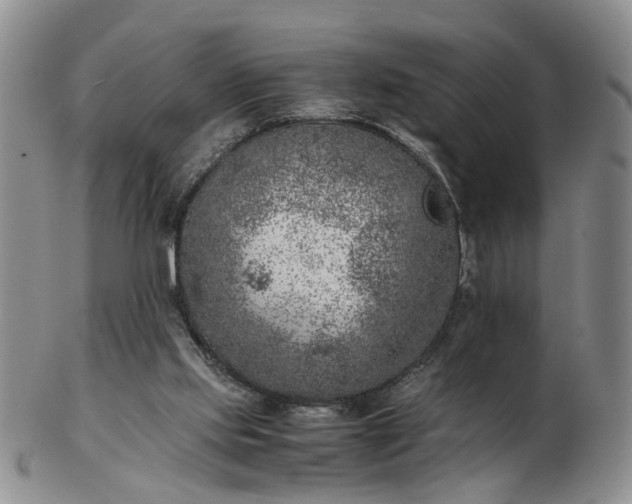 X0000103160061200809051709