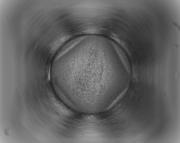 X0000103160062200809051709