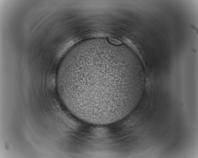 X0000103160063200809051709