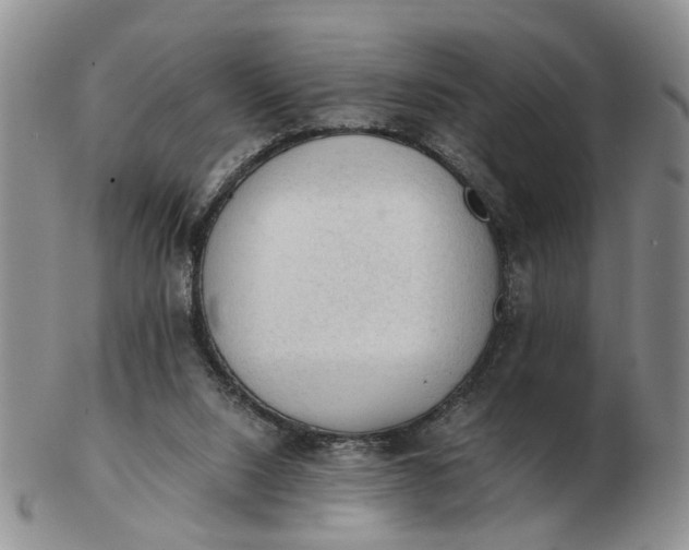 X0000103160064200809051709