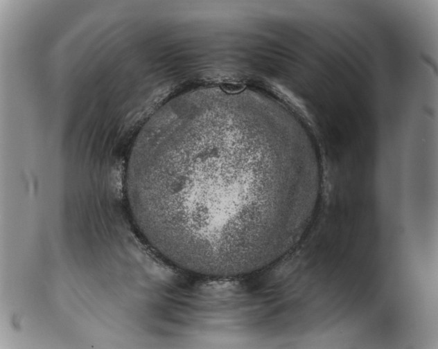 X0000103160065200809051709