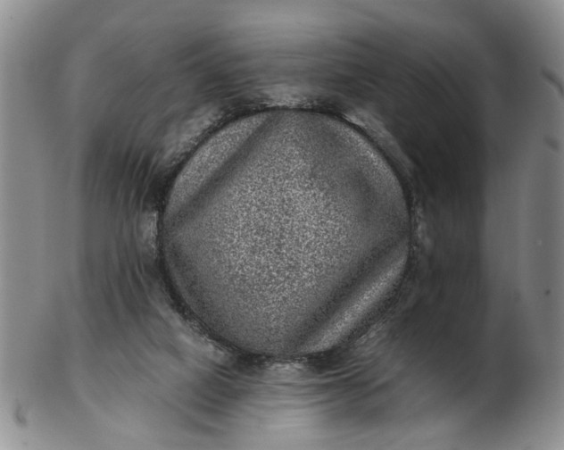 X0000103160066200809051709