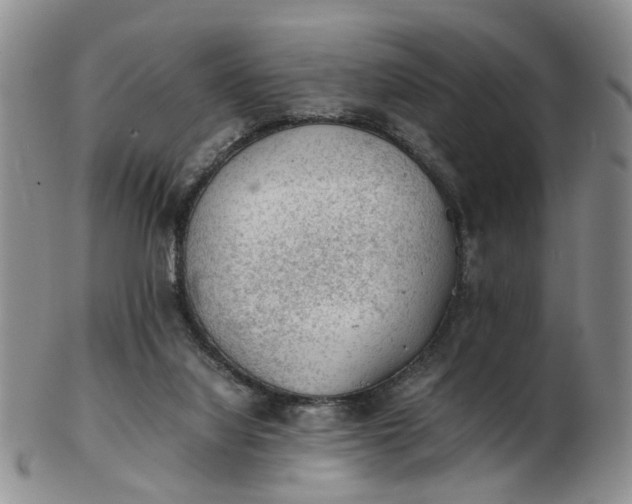 X0000103160068200809051709