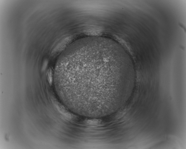 X0000103160069200809051709