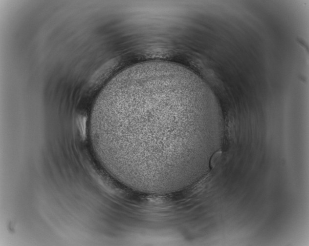 X0000103160070200809051709