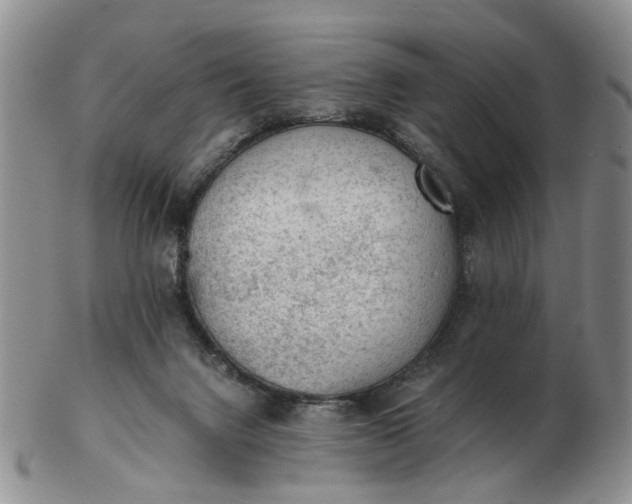 X0000103160072200809051709