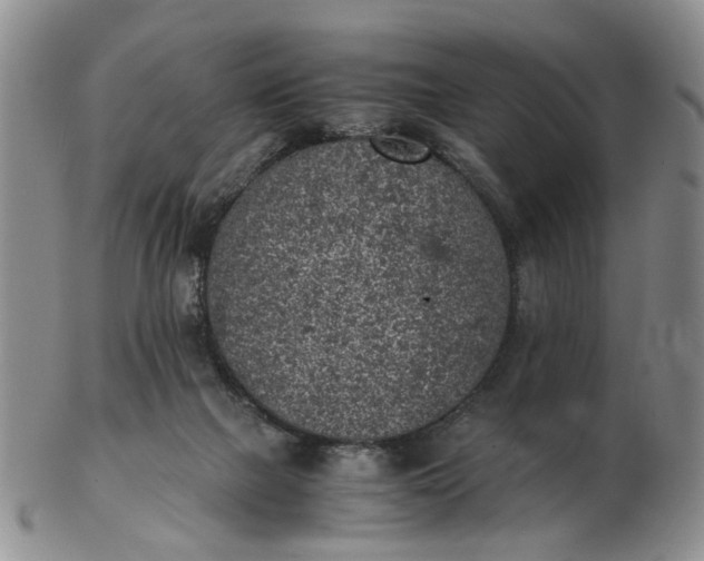 X0000103160073200809051709