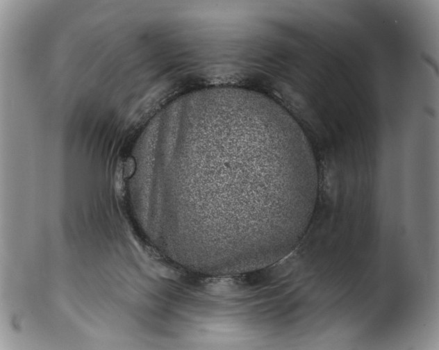 X0000103160074200809051709