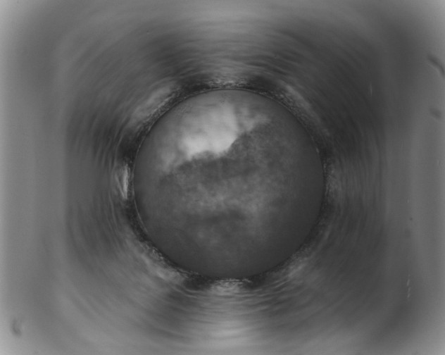 X0000103160076200809051709