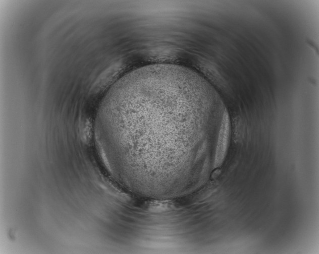 X0000103160077200809051709