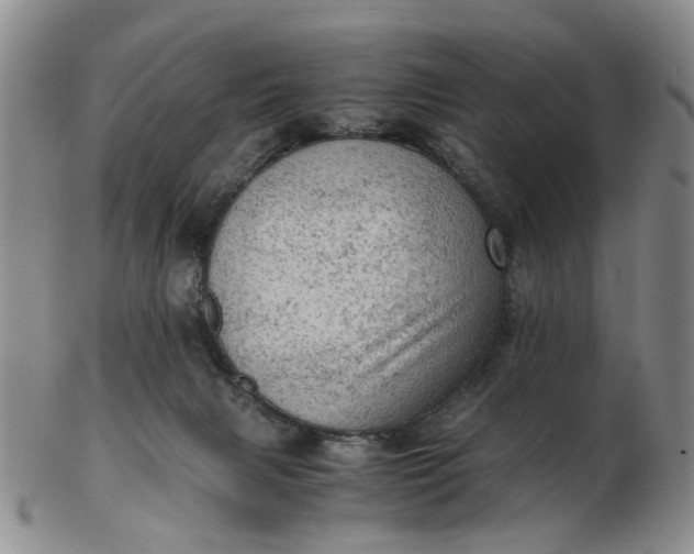 X0000103160079200809051709