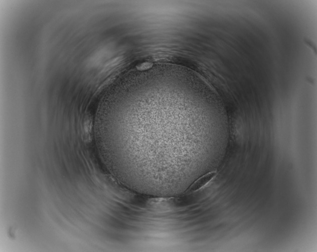 X0000103160082200809051709