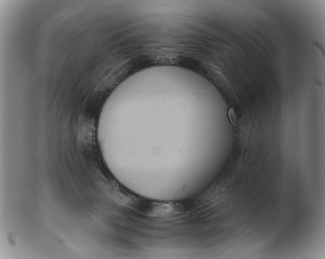 X0000103160083200809051709