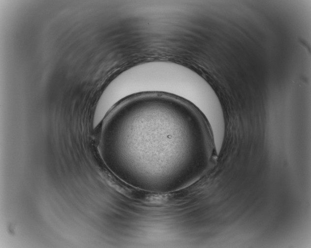 X0000103160084200809051709