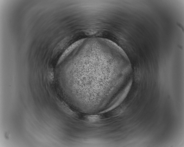 X0000103160085200809051709