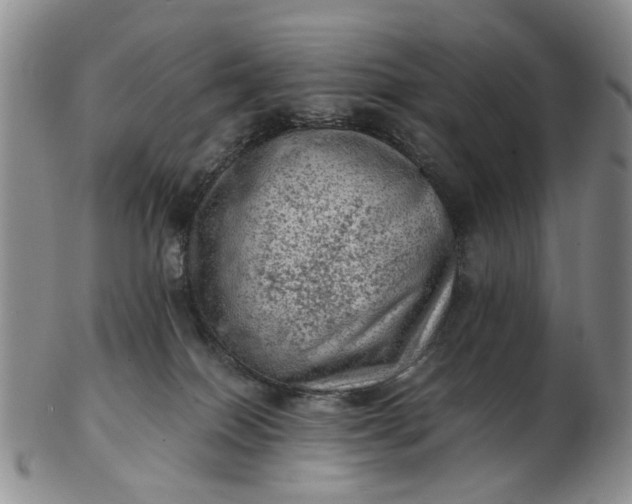 X0000103160086200809051709