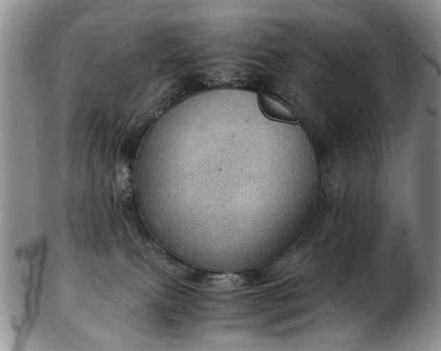 X0000103160087200809051709