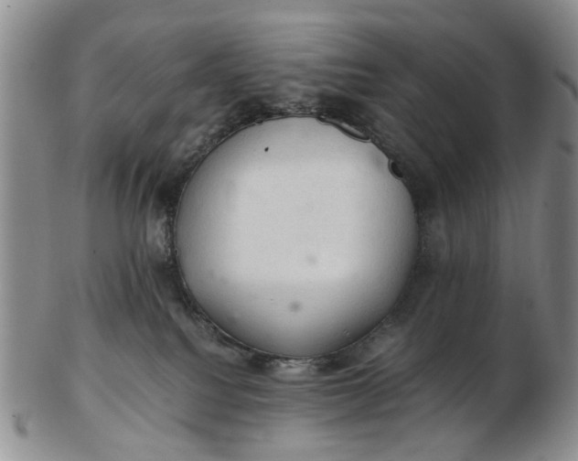 X0000103160088200809051709