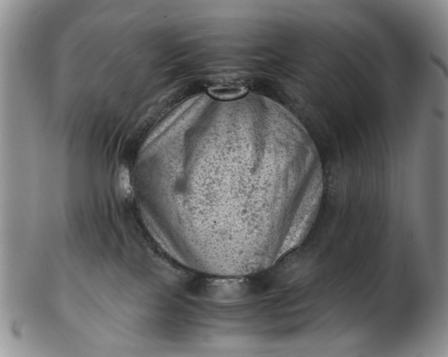 X0000103160089200809051709